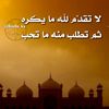 user696007002539
