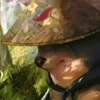 ok_ej6