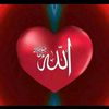 user1313337435922