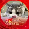 baobaonguyen186