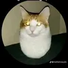 waaaaaaaaa666