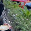 mariamk872