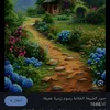 noor3245872