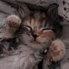 weronika.werciax