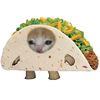 canadian_tacos