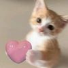 billoveyuw