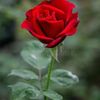 carmen.valderrama42