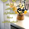 mausoor_jamali