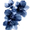 desha_jou