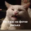 vikkkkash24