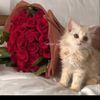 user8yf3mvi7cl
