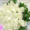 user74rixgn46t
