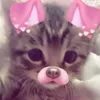 petite_mangue
