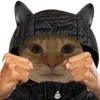 naabetse
