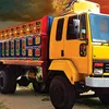 mdrashed8411