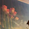 iizbb_