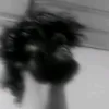 fasf__511