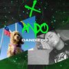 Dandiego 👑