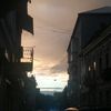 yarunavask