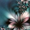 squirtward_fr