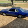 caveman_lsx