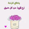 user7313847747423