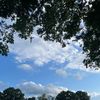 ryanj22_0
