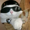 dariel_boy1