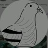 pigeon_studios8