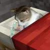hyez_o1