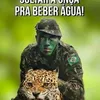 creisonrodriguesdasilva