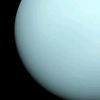 sandu_4532