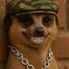 stay_wackooo
