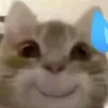 nguyenthanhdatpl