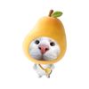 adel_pp0
