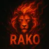 rakoo2222