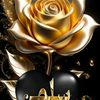 user2960065883023