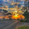 orilya_1234