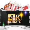 farid52964