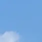 dy19wbjeskh5