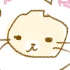 __nawp