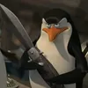 pinguin.miope
