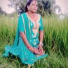 sitachy889