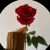 .rosevondamast