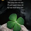 dieuhoa8899