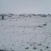sonani_s4