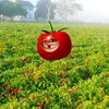 akutempegoreng27