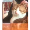 kat177777