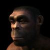 tylertheancestor