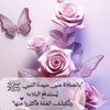 ayamwsnyn43